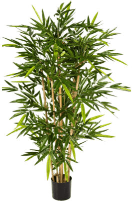 Véritable plante artificielle XL "Bamboo Column", Ø 85/ hauteur 210 cm