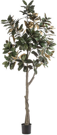 Lebensechte Kunstpflanze „Magnolia Denudata“, Ø 100/ Höhe 240 cm