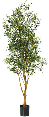 Lebensechte Kunstpflanze „Olivenbaum verzweigt“, Ø 70/ Höhe 180 cm