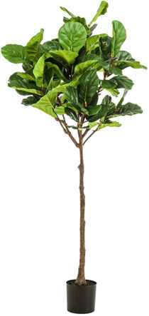 Lifelike artificial plant "Ficus Lyrata", Ø 70/ height 195 cm