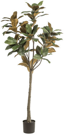 Lifelike artificial plant "Magnolia Denudata", Ø 70/ height 150 cm