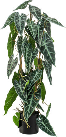 Lebensechte Kunstpflanze „Alocasia“, Höhe 75 cm