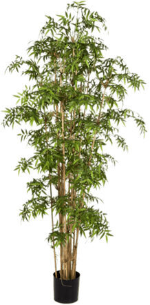 Lifelike artificial plant "Bamboo Japanese"