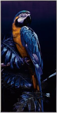 Hand painted art print "Blue Parrot II" 62.5 x 122.5 cm