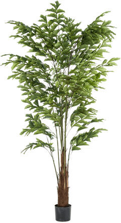 Lebensechte Kunstpflanze „Palm Fishtail“ Ø 100/ Höhe 225 cm