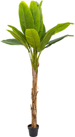 Lebensechte Kunstpflanze „Banana“ 180 cm