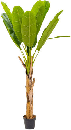 Lifelike artificial plant "Banana" 150 cm