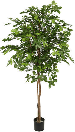 Lebensechte Kunstpflanze „Hornbean Tree“, Ø 100/ Höhe 210 cm