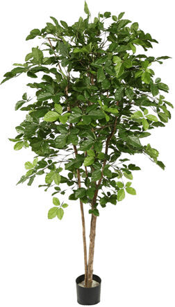Lebensechte Kunstpflanze „Hornbean Tree“, Ø 80/ Höhe 185 cm