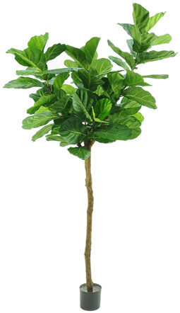 Plante artificielle réaliste "Fidel Leaf Tree", Ø 70/ hauteur 180 cm