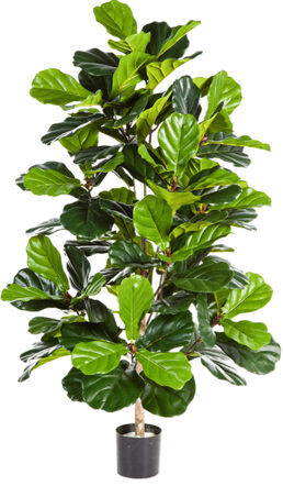 Lifelike artificial plant "Ficus Lyrata", Ø 65/ height 130 cm