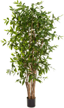 Lebensechte Kunstpflanze „Dracaena Surculosa“, Ø 60/ Höhe 150 cm