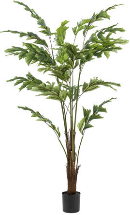 Lebensechte Kunstpflanze „Palm Fishtail“ Ø 80/ Höhe 135 cm