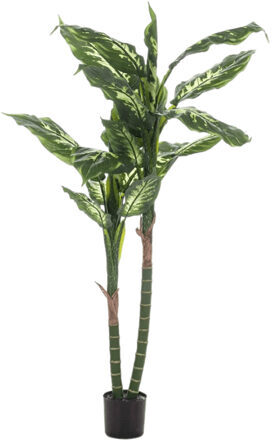Lifelike artificial plant "Dieffenbachia", Ø 70/ height 150 cm