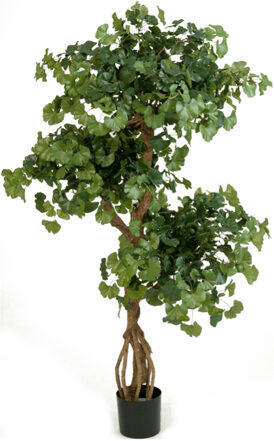 Lifelike artificial plant "Gingko Biloba", Ø 70/ height 145 cm
