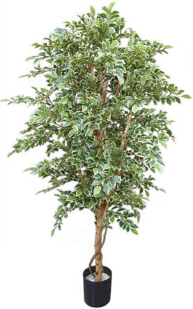 Lebensechte Kunstpflanze „Ficus Folia A-tree“, Ø 75/ Höhe 180 cm