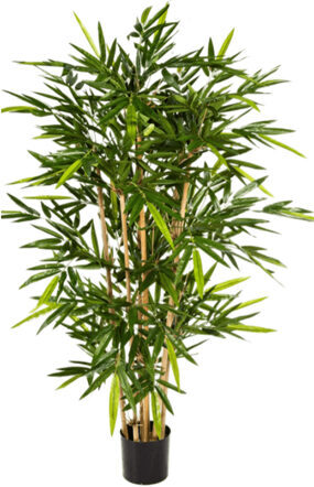 Lebensechte XL Kunstpflanze „Bamboo Säule“, Ø 65/ Höhe 150 cm
