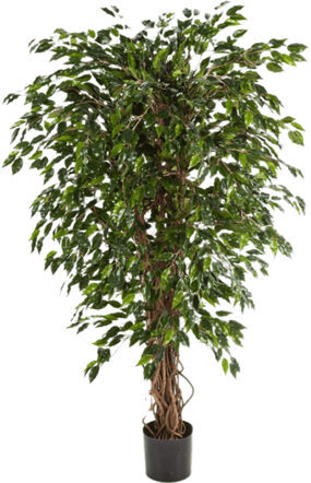 Lebensechte Kunstpflanze „Ficus Hawaiian Liana“, Ø 80/ Höhe 180 cm