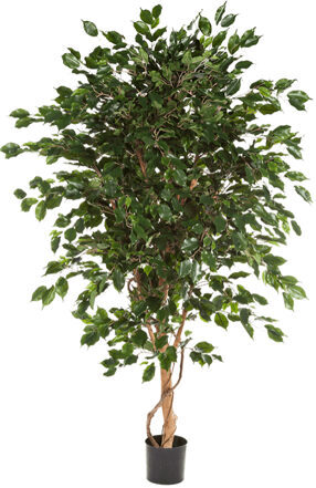 Lebensechte Kunstpflanze „Ficus Exotica“, Ø 90/ Höhe 180 cm