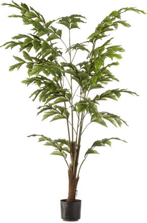 Lebensechte Kunstpflanze „Palm Fishtail“ Ø 80/ Höhe 150 cm