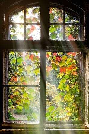 Acrylglasbild „Fenster mit Herbstlaub“ 120 x 80 cm