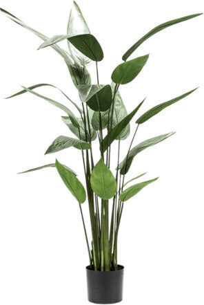 Lebensechte Kunstpflanze „Heliconia“, Ø 50/ Höhe 125 cm