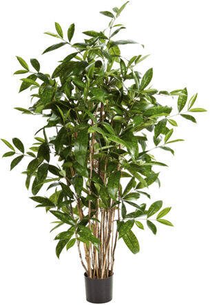 Lebensechte Kunstpflanze „Dracaena Surculosa“, Ø 45/ Höhe 120 cm
