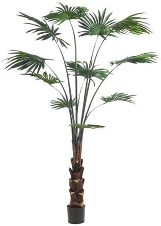 Lebensechte Kunstpflanze „Palm Livistona“ Ø 100/ Höhe 180 cm