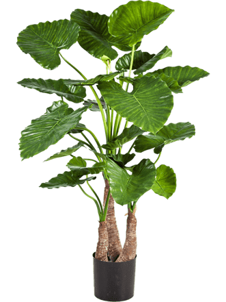 Lebensechte Kunstpflanze „Alocasia Calidora“, Höhe 120 cm