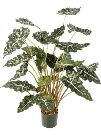 Lebensechte Kunstpflanze „Alocasia Tuff“, Höhe 110 cm