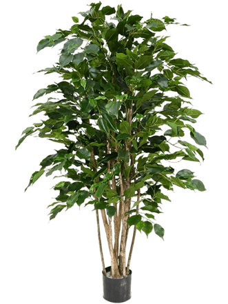 Lifelike artificial plant "Ficus Benjamina Exotica", Ø 70/ height 120 cm