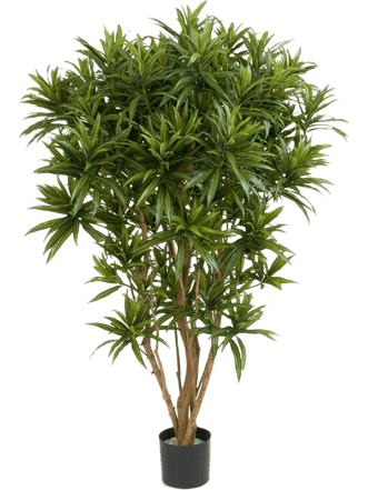 Plante artificielle réaliste "Dracaena Reflexa Jamaica", Ø 80/ hauteur 150 cm