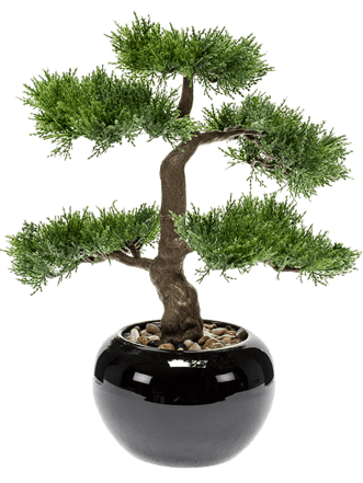 Plante artificielle réaliste "Cedar Bonsai", hauteur 34 cm