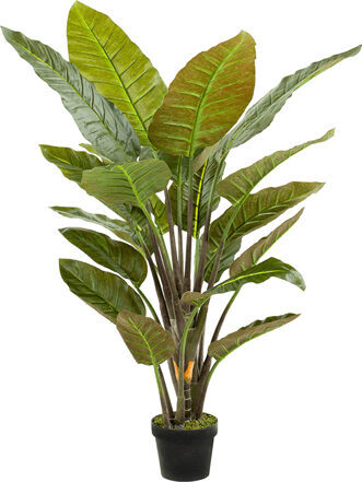 Lebensechte Kunstpflanze „Strelitzia Tuff“ Ø 90/ Höhe 135 cm