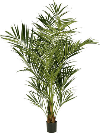 Lifelike artificial plant "Kentia Palm Tuff", Ø 100/ height 225 cm