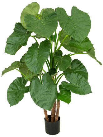 Lebensechte Kunstpflanze „Alocasia“, Höhe 120 cm