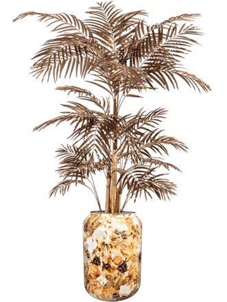 Pflanzen Arrangement „Areca in Designed By Lammie Cream“ Ø 46/ Höhe 200-210 cm