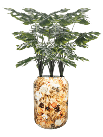 Pflanzen Arrangement „Monstera in Designed By Lammie Cream“ Ø 46/ Höhe 140-150 cm