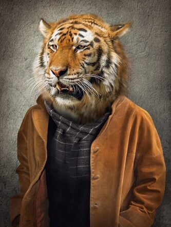 Glasbild „Tiger im Mantel“ 60 x 80 cm
