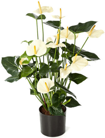Lifelike artificial plant "Anthurium bush cream", Ø 45 height 78 cm