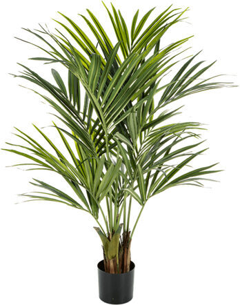 Lebensechte Kunstpflanze „Kentia Palm“, Ø 70/ Höhe 140 cm