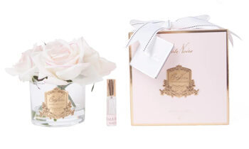 Five Rose Pink Blush Pink Box with Gold Plaque