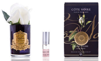 Parfum d'ambiance luxueux "Rose Bud" Blanc ivoire