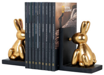 Sony" bookend set