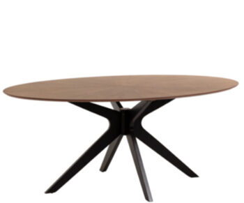 Ovaler Tisch Naani 180 x 110 cm