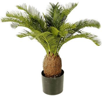 Lifelike artificial plant "Cycas Tuff", Ø 70/ height 65 cm