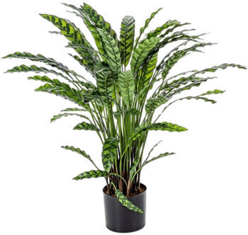 Lifelike artificial plant "Calathea" Ø 75/ height 84 cm