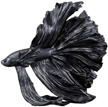 Design Skulptur „Crowntail“ 32 x 36 cm, Schwarz
