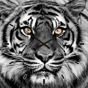 Wanduhr „Tiger in Black & White“ 60 x 60 cm