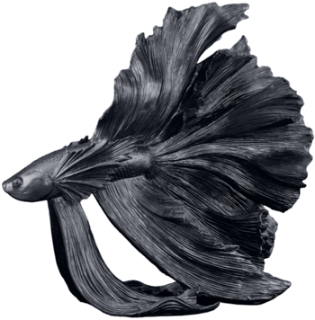 XL Design sculpture "Crowntail" 60 x 56 cm, Black